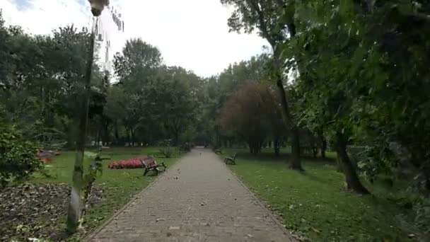 Chemin Dans Parc Kiseleff — Video