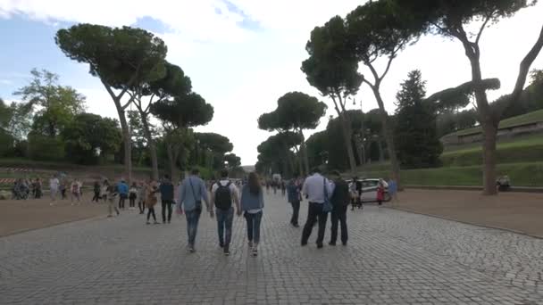 Emberek Egy Aszfaltozott Sikátorban Sétálnak — Stock videók