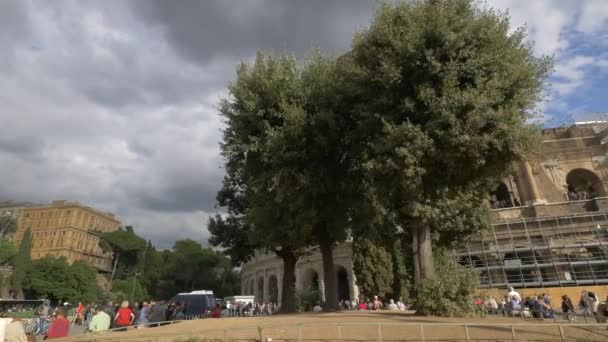 Alberi Fronte Colosseo — Video Stock