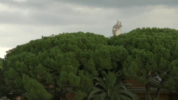 Statua Ospedale Fatebenefratelli — Video Stock