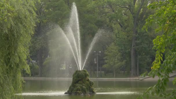 Fontaine Avec Mousse Verte Dans Lac — Video