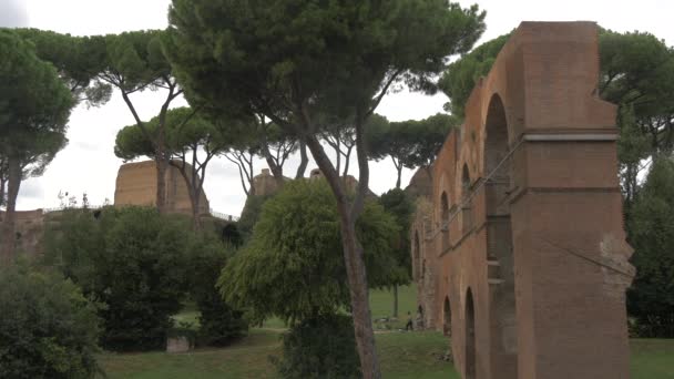 View Ruins Trees — Stock Video