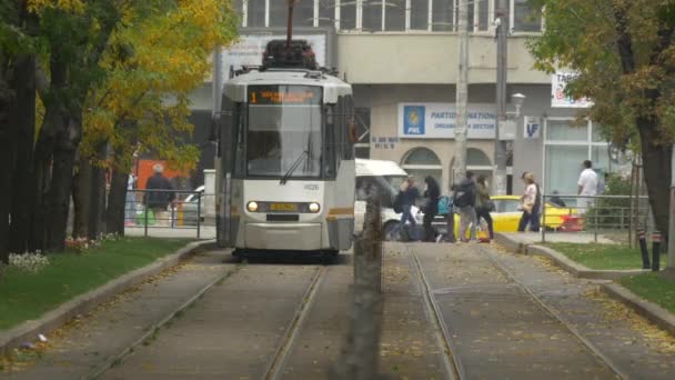 Tramvay Hattı Tramvay Hattında Gidiyor — Stok video