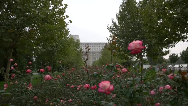 Budova Blízkosti Parku Růžemi — Stock video
