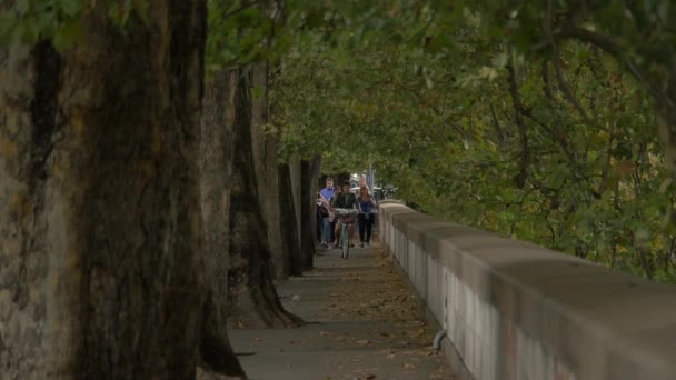 Lidé Chodí Jezdí Kole Pod Stromy — Stock video