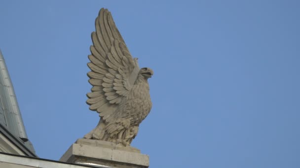 Statue Aigle — Video