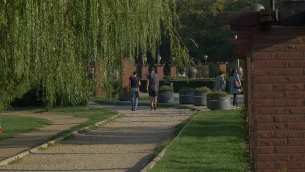 Caminhando Beco Parque Herastrau — Vídeo de Stock