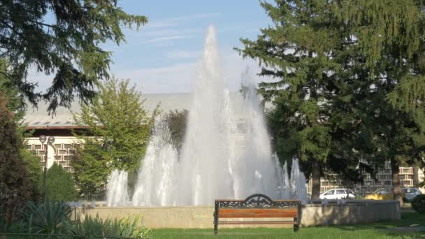 Fontana Nel Parco Herastrau — Video Stock