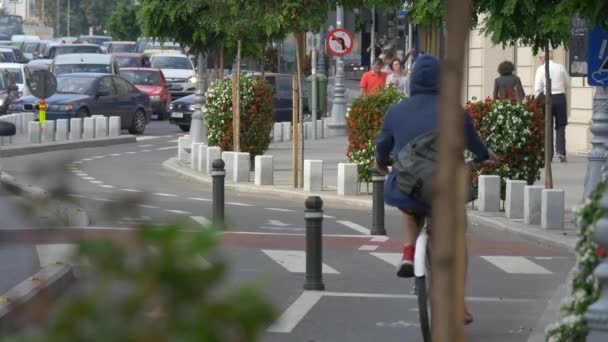 Wandelen Fietsen Autorijden — Stockvideo