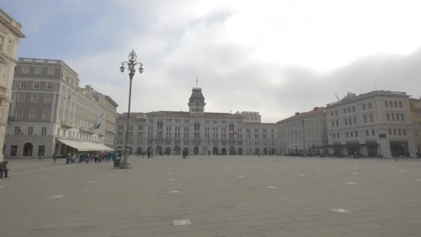 Byggnader Piazza Dell Unit Italia Trieste Italien — Stockvideo