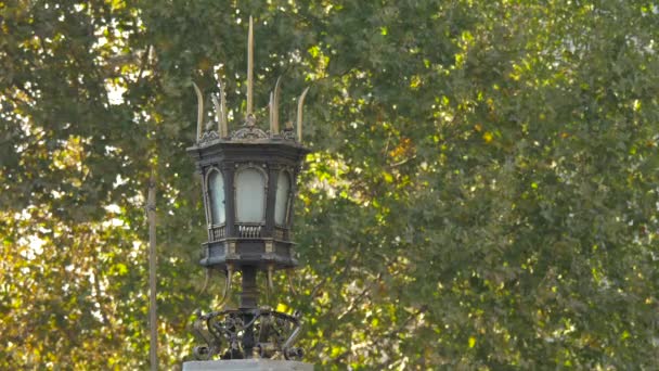 旧灯柱の眺め — ストック動画