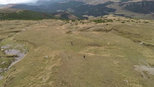 Aerial Shot Bucegi Plateau Romania — Αρχείο Βίντεο