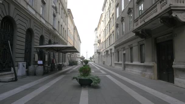 意大利的里雅斯特圣尼科尔大街上的盆栽花 — 图库视频影像