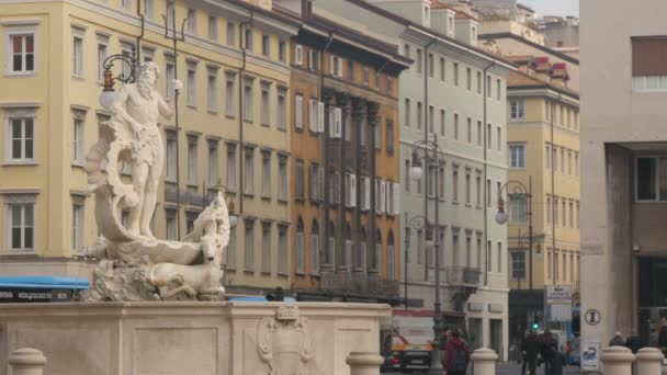 Fontana Nettuno Trieste — Video Stock