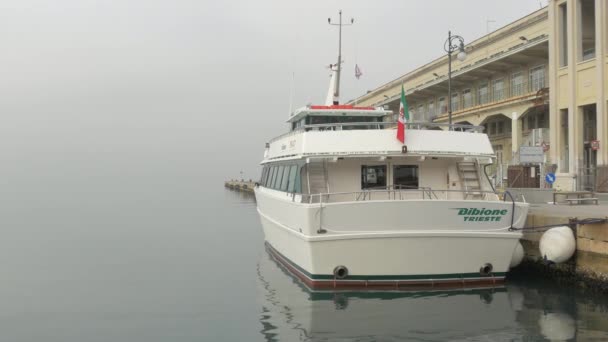 Barco Turístico Trieste — Vídeo de stock