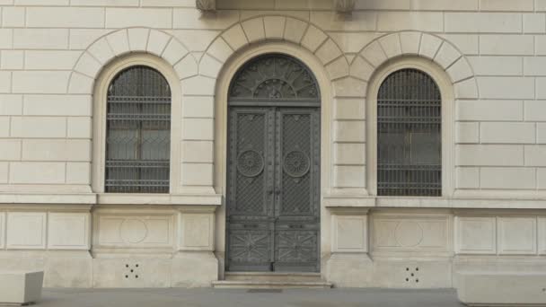 Adorned Door Trieste — 图库视频影像