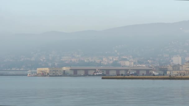 Lungomare Trieste Con Moli — Video Stock