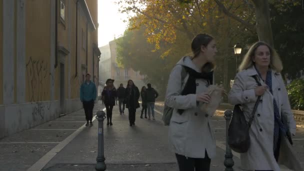 Άνθρωποι Περπατούν Ένα Ηλιόλουστο Δρόμο — Αρχείο Βίντεο