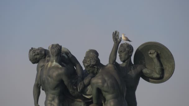 Fågel Stående Monumento Caduti Trieste — Stockvideo