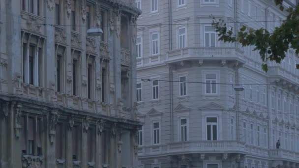 Hikaye Binaları Trieste Talya — Stok video
