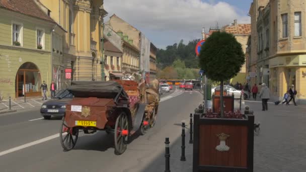 Transporte Tirado Por Caballos Tráfico — Vídeos de Stock