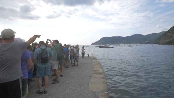 Turistas Muelle Cinque Terre — Vídeos de Stock