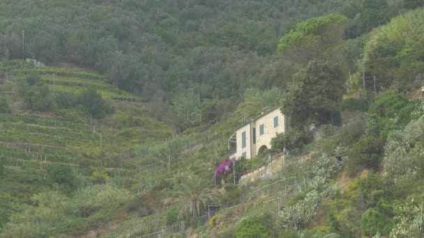 山上的小房子 — 图库视频影像