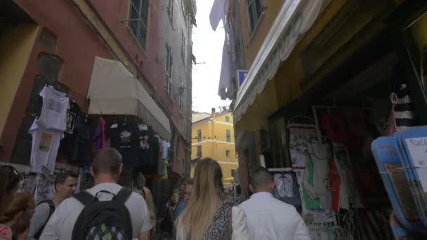 Drukke Straat Vernazza Cinque Terre — Stockvideo