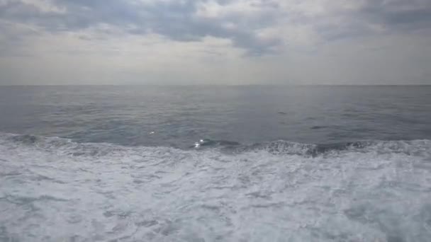 Пенные Волны Море — стоковое видео