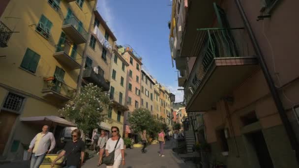 Går Gata Cinque Terre — Stockvideo