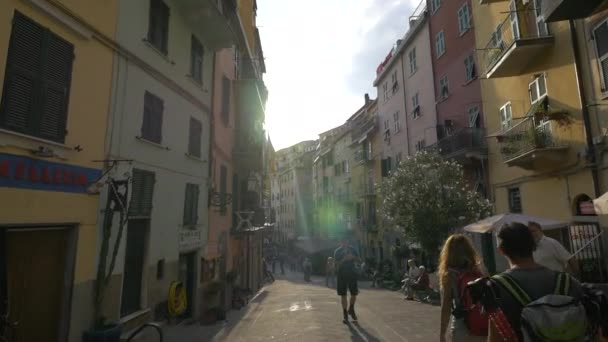 Улица Cinque Terre — стоковое видео