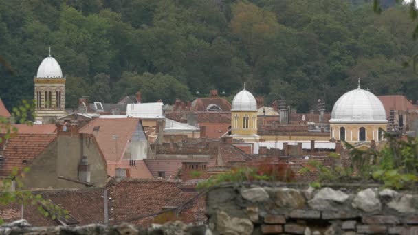 Orthodox Cathedral Assumption — Stock Video