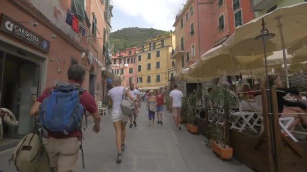 Turister Promenader Och Avkoppling Riomaggiore — Stockvideo