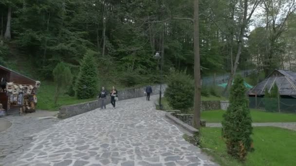 森の近くの石の路地 — ストック動画