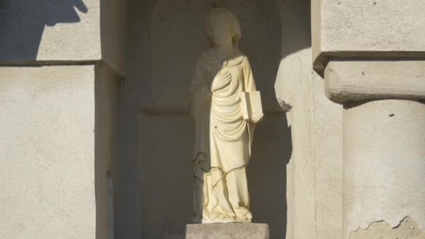 Estatua Virgen María Castillo Bran — Vídeo de stock