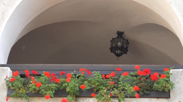 Balcon Avec Des Fleurs Château Bran — Video