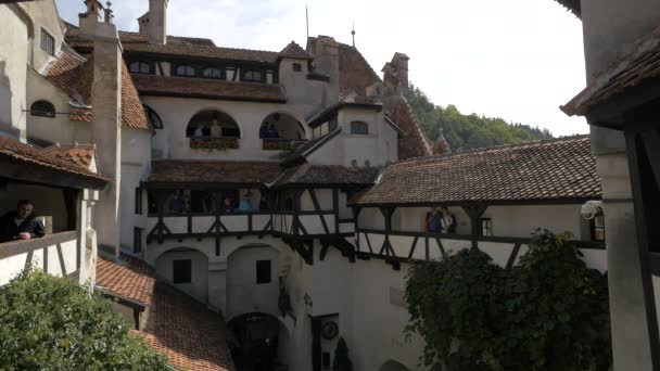 Turisti Che Ammirano Cortile Del Castello Bran — Video Stock