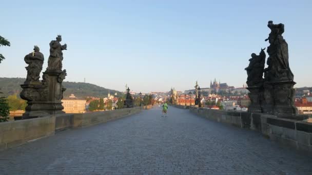 Charles Bridge Prague — Stock Video