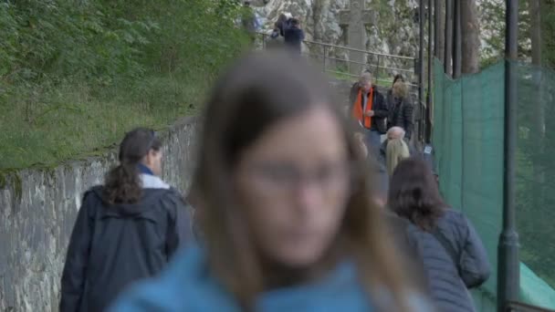 Caminhando Beco Royal Park — Vídeo de Stock