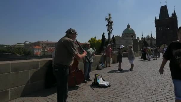 查尔斯桥上的乐器演奏 — 图库视频影像