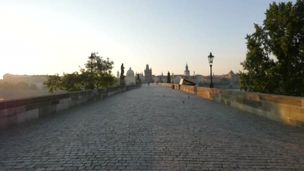 Puente Carlos Praga — Vídeos de Stock