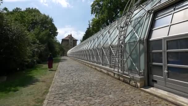 Serre Dans Jardin Royal — Video