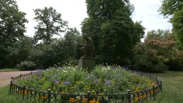 Statue Surrounded Flowers — Stock Video