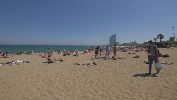 Solbränna Stranden Barcelona — Stockvideo