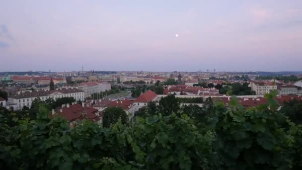 Prag Von Oben Gesehen Der Abenddämmerung Tschechien — Stockvideo