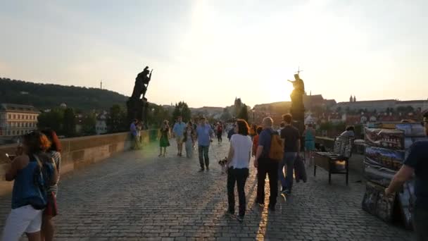 Turister Går Karlsbron — Stockvideo