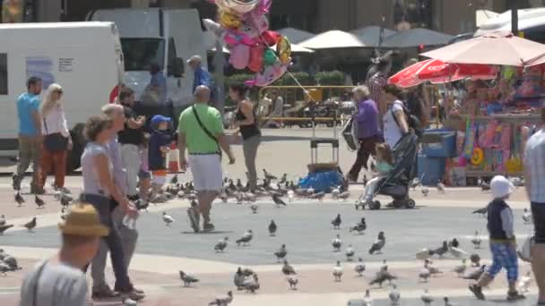 Люди Голуби Площади — стоковое видео