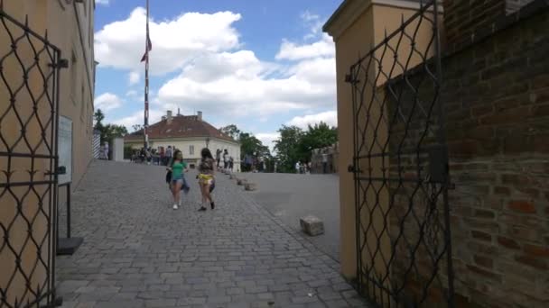 Turistas Caminando Por Calle Jirska — Vídeo de stock