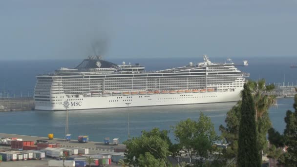 Msc Cruiseschip Voor Anker Een Haven — Stockvideo