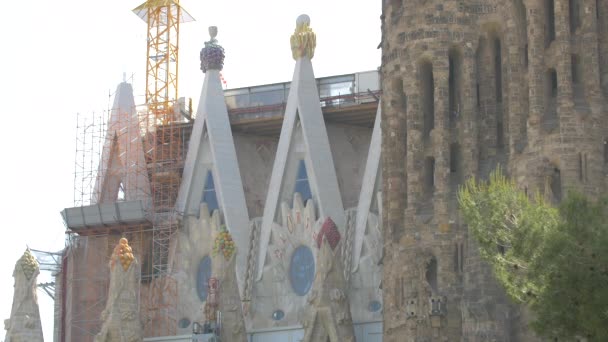 Sagrada Familia Mit Rosetten Barcelona — Stockvideo
